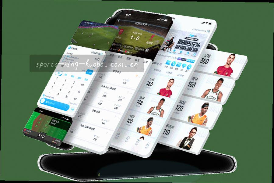 电脑端浏览器地址栏收藏 PLUS 栏目的操作示意图